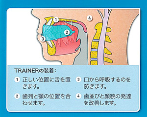 トレーナー